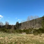Les Cœurs Du Tilleul